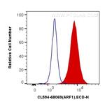 ARF1 Antibody in Flow Cytometry (Flow)