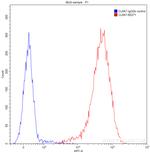 CD20 Antibody in Flow Cytometry (Flow)