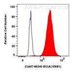 BCL6 Antibody in Flow Cytometry (Flow)