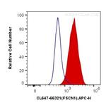 Fascin Antibody in Flow Cytometry (Flow)