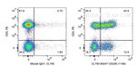 CD226 Antibody in Flow Cytometry (Flow)