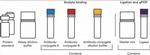 Human IgM ProQuantum Immunoassay Kit