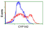 CYP1A2 Antibody in Flow Cytometry (Flow)