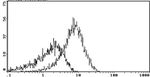 CD55 Antibody in Flow Cytometry (Flow)