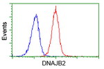 DNAJB2 Antibody in Flow Cytometry (Flow)