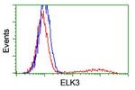 ELK3 Antibody in Flow Cytometry (Flow)