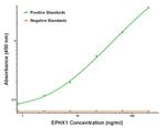 EPHX1 Antibody in ELISA (ELISA)