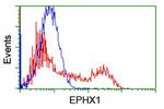 EPHX1 Antibody in Flow Cytometry (Flow)