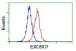 EXOSC7 Antibody in Flow Cytometry (Flow)