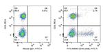 CD16 Antibody in Flow Cytometry (Flow)