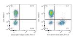 CD19 Antibody in Flow Cytometry (Flow)