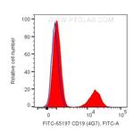 CD19 Antibody in Flow Cytometry (Flow)