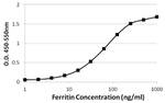 Ferritin Antibody in ELISA (ELISA)