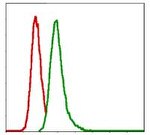 G6PD Antibody in Flow Cytometry (Flow)