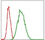 G6PD Antibody in Flow Cytometry (Flow)