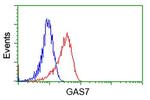 GAS7 Antibody in Flow Cytometry (Flow)