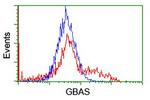 GBAS Antibody in Flow Cytometry (Flow)