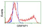 GRIPAP1 Antibody in Flow Cytometry (Flow)