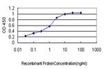 ACACA Antibody in ELISA (ELISA)