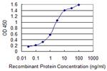 ACVR1 Antibody in ELISA (ELISA)