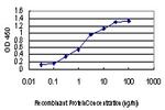 ACVR1B Antibody in ELISA (ELISA)