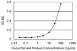 AK1 Antibody in ELISA (ELISA)