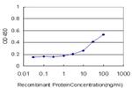 ALOX15 Antibody in ELISA (ELISA)