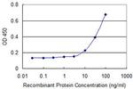 ALOX15B Antibody in ELISA (ELISA)