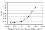 ARRB2 Antibody in ELISA (ELISA)