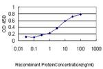 ATOX1 Antibody in ELISA (ELISA)