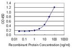 CA6 Antibody in ELISA (ELISA)