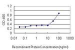 RUNX2 Antibody in ELISA (ELISA)