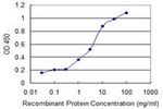 RCBTB2 Antibody in ELISA (ELISA)