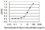 CRH Antibody in ELISA (ELISA)