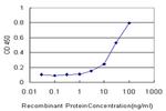 CYP2J2 Antibody in ELISA (ELISA)