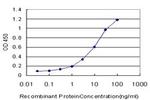 CYP19A1 Antibody in ELISA (ELISA)