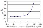 DDT Antibody in ELISA (ELISA)