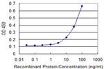 TIMM8A Antibody in ELISA (ELISA)