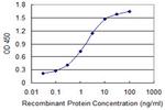 EPHB1 Antibody in ELISA (ELISA)