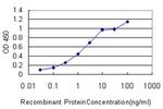 FGF12 Antibody in ELISA (ELISA)