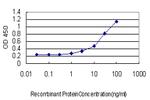 FOXF2 Antibody in ELISA (ELISA)