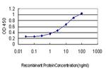 FOXC2 Antibody in ELISA (ELISA)