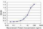 FOLR2 Antibody in ELISA (ELISA)