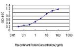 GCH1 Antibody in ELISA (ELISA)