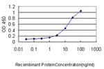 GFI1 Antibody in ELISA (ELISA)