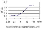 GNG3 Antibody in ELISA (ELISA)