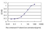 GRK6 Antibody in ELISA (ELISA)