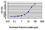 GSR Antibody in ELISA (ELISA)