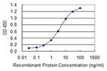 GUCA1B Antibody in ELISA (ELISA)