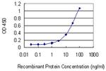 HBA1 Antibody in ELISA (ELISA)